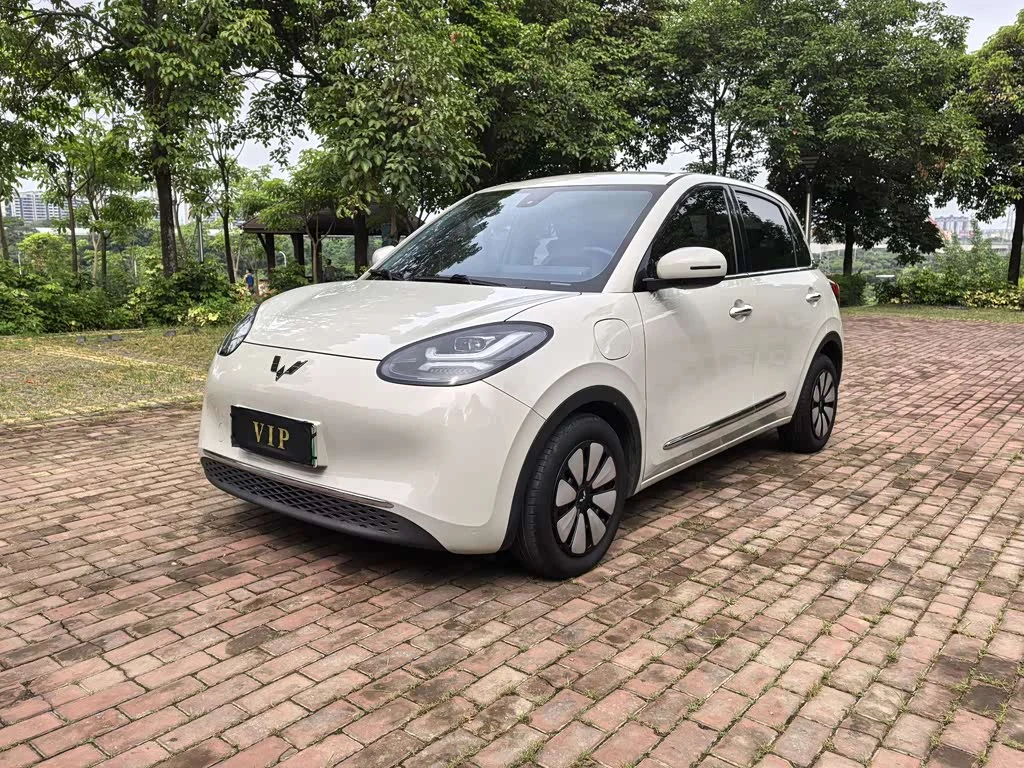 Wuling Binguo