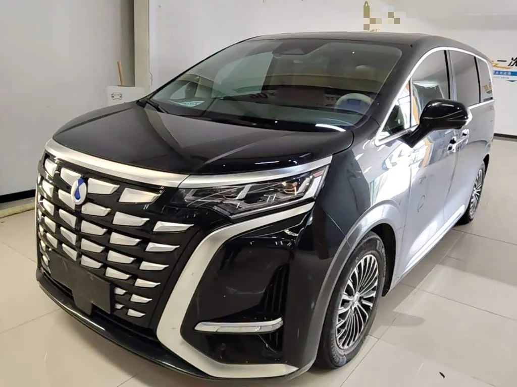 Denza D9