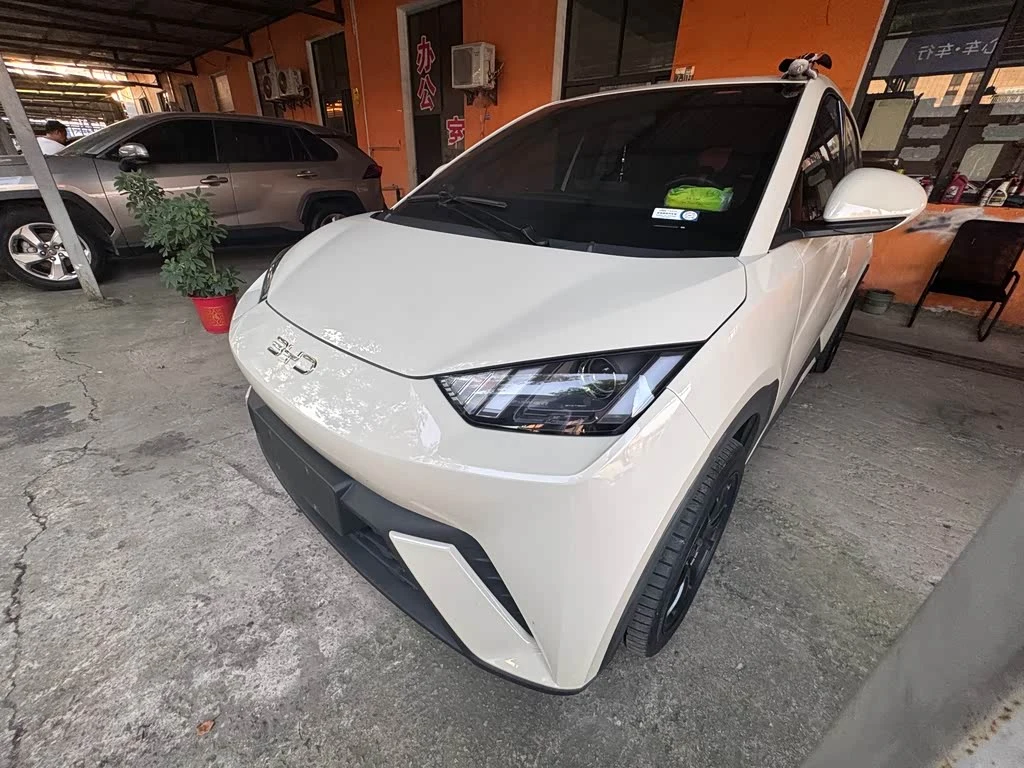 BYD Seagull