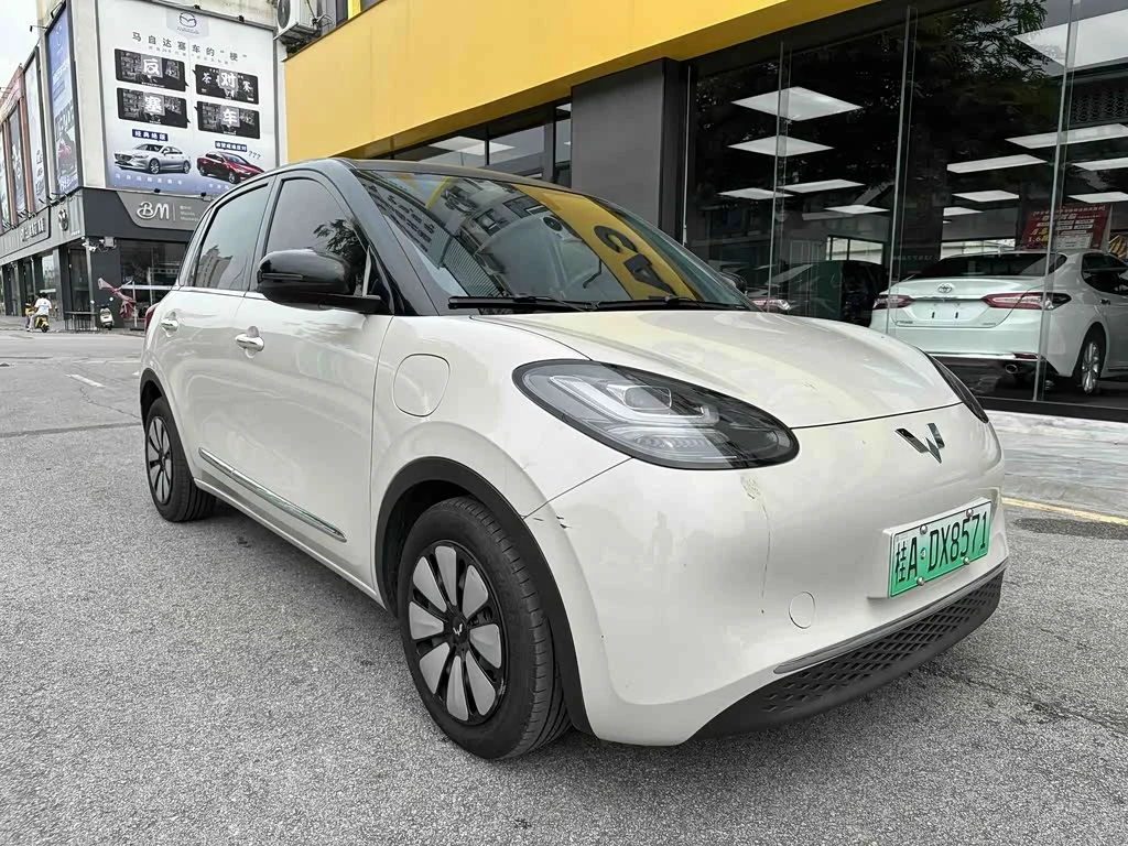 Wuling Binguo