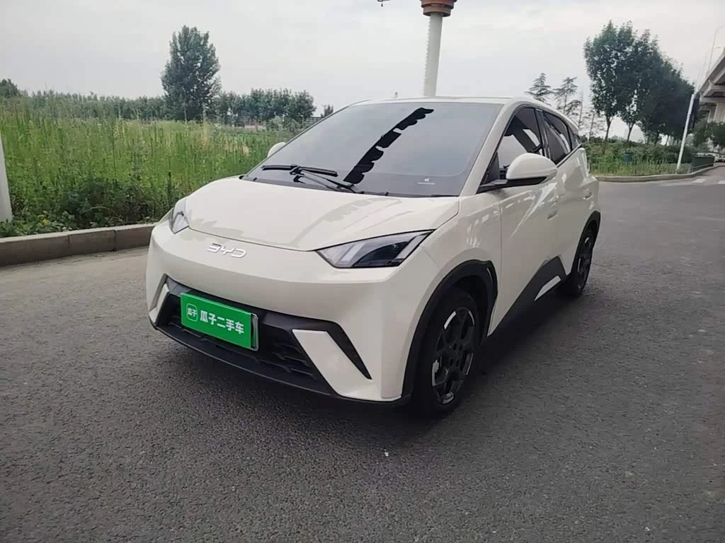 BYD Seagull