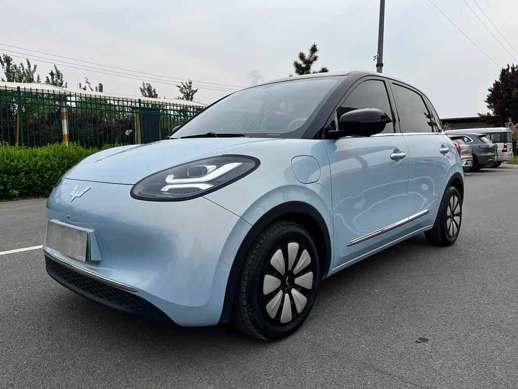 Wuling Binguo