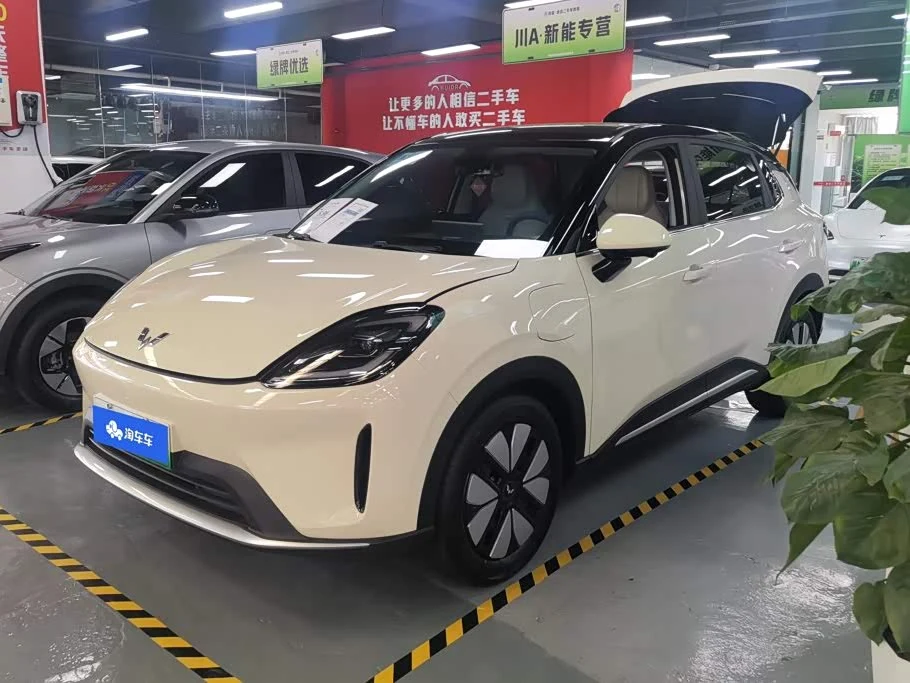 Wuling BinguoS