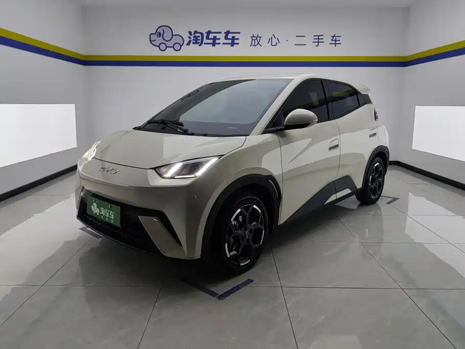 BYD Seagull