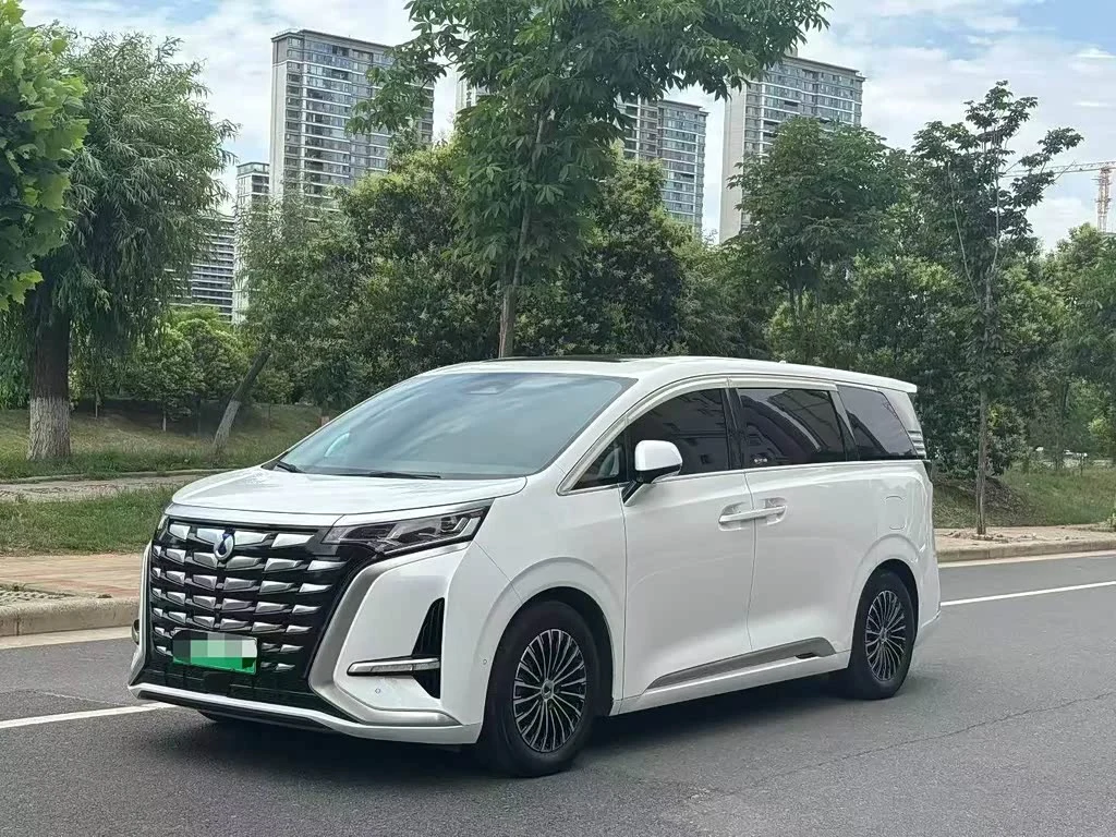 Denza D9