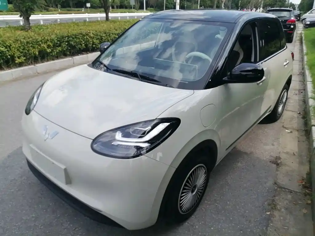 Wuling Binguo