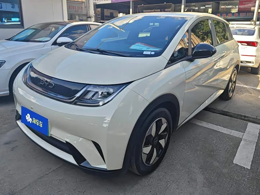 BYD Dolphin