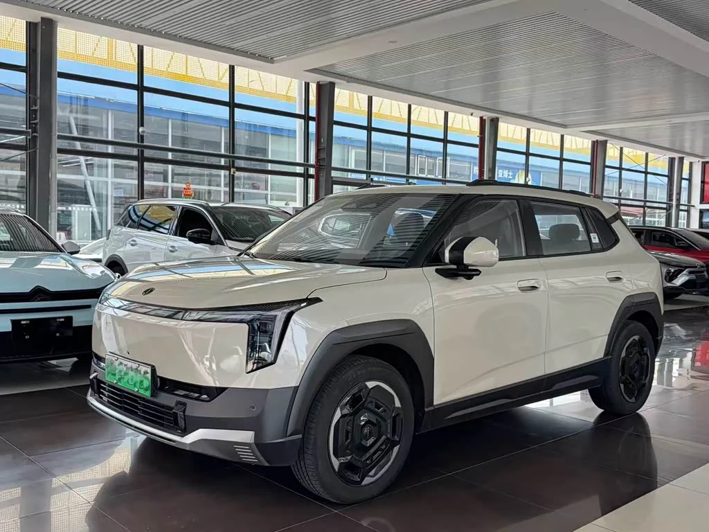 Dongfeng 06