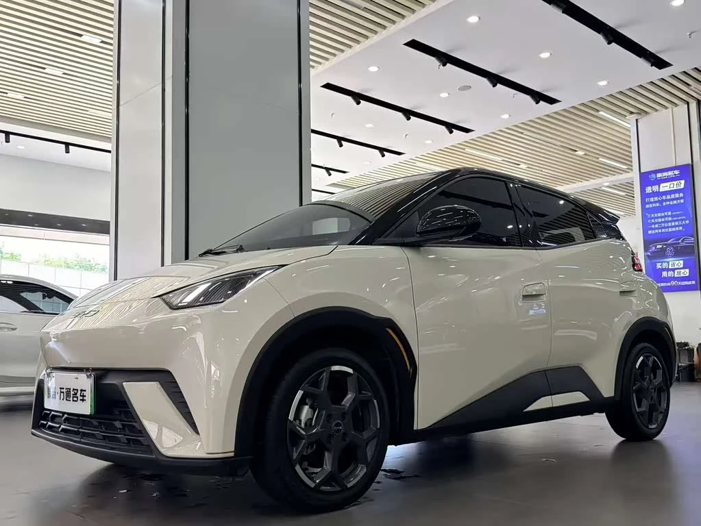 BYD Seagull