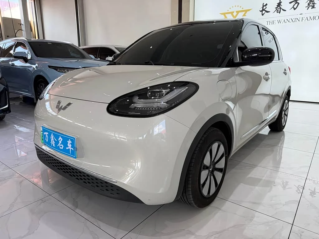 Wuling Binguo