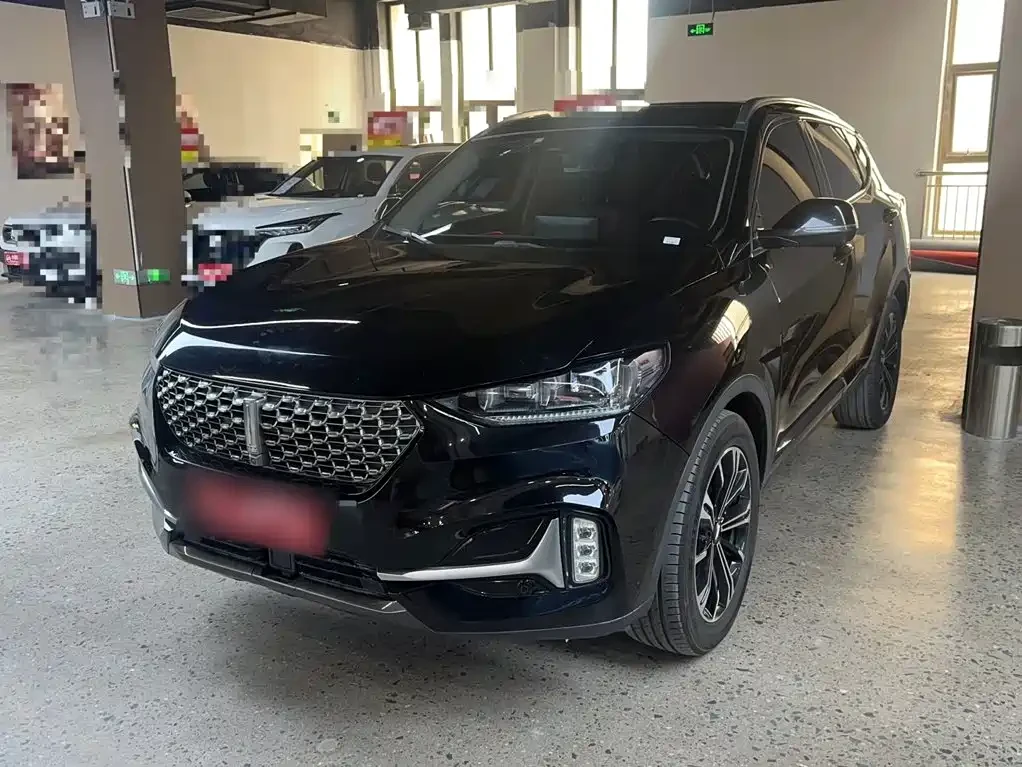 Wey VV6