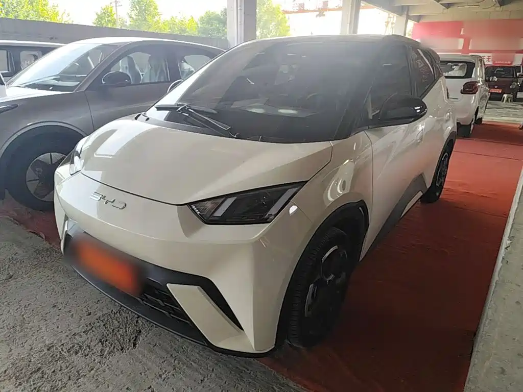 BYD Seagull