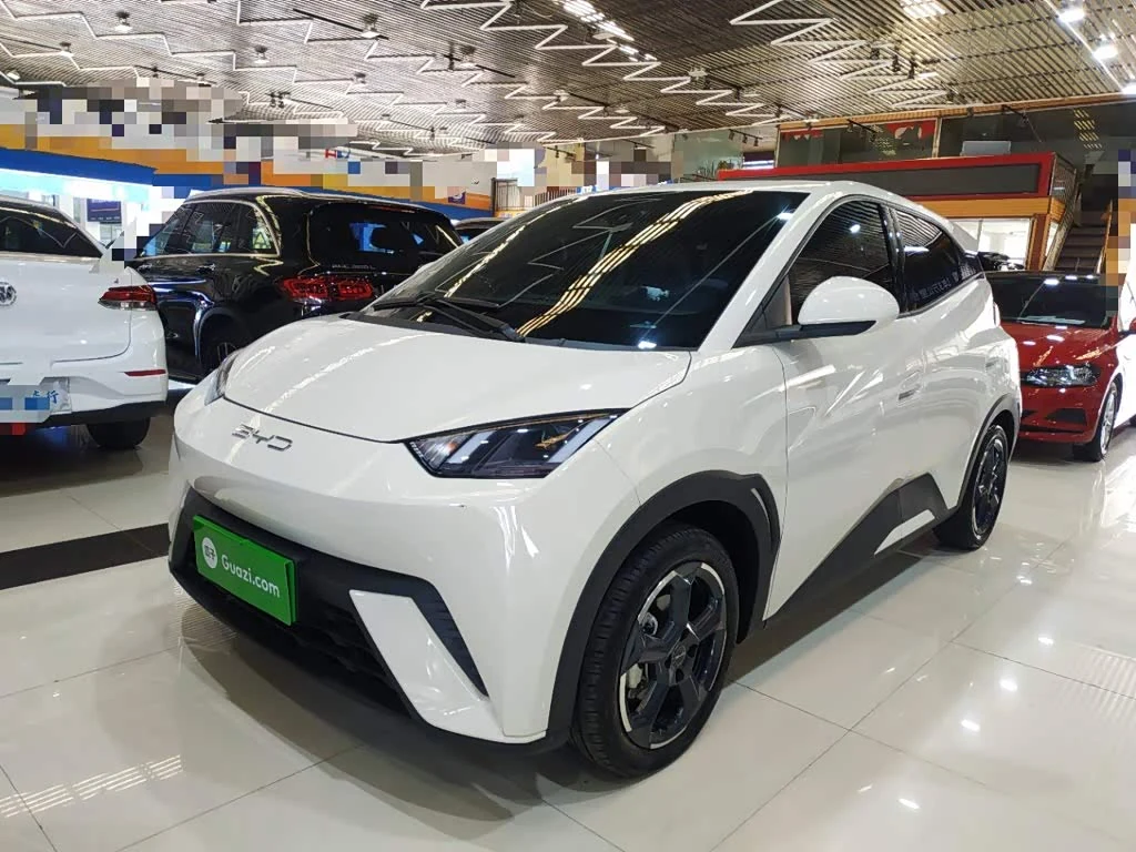 BYD Seagull