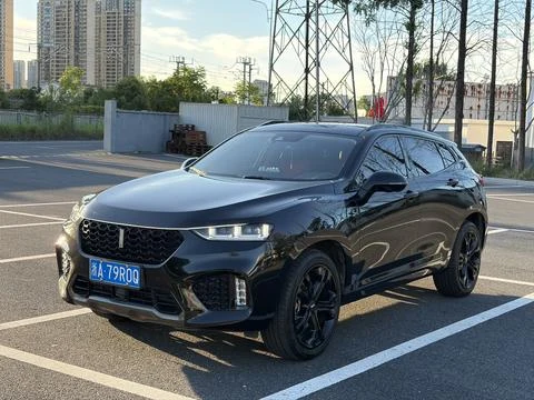 Wey VV7
