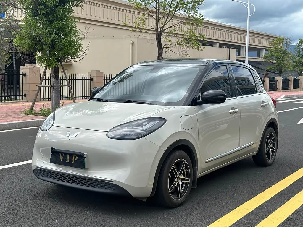 Wuling Binguo