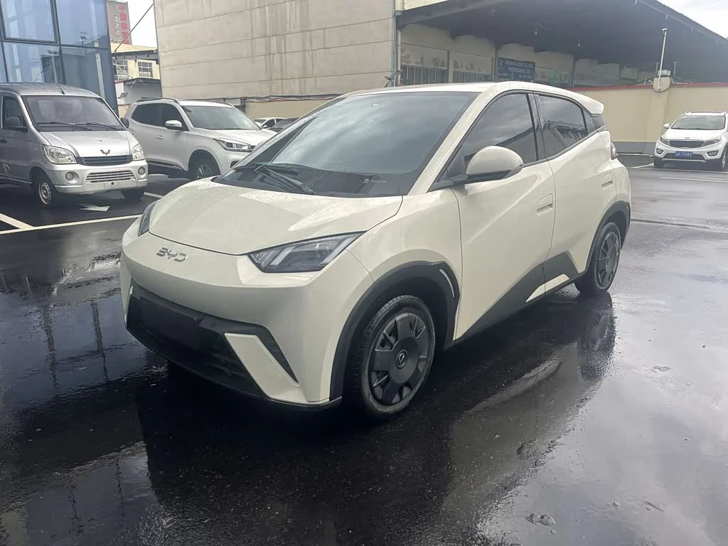 BYD Seagull