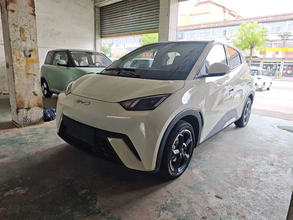 BYD Seagull
