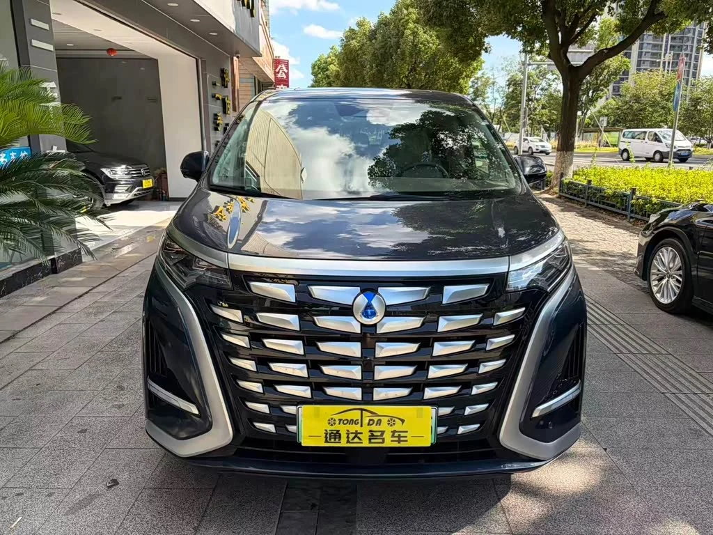 Denza D9