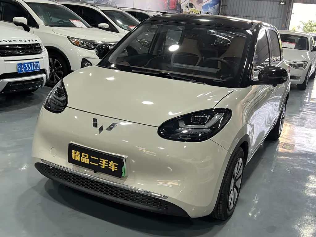 Wuling Binguo