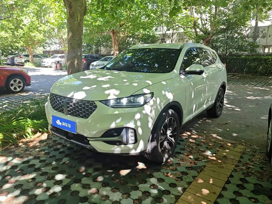 Wey VV6