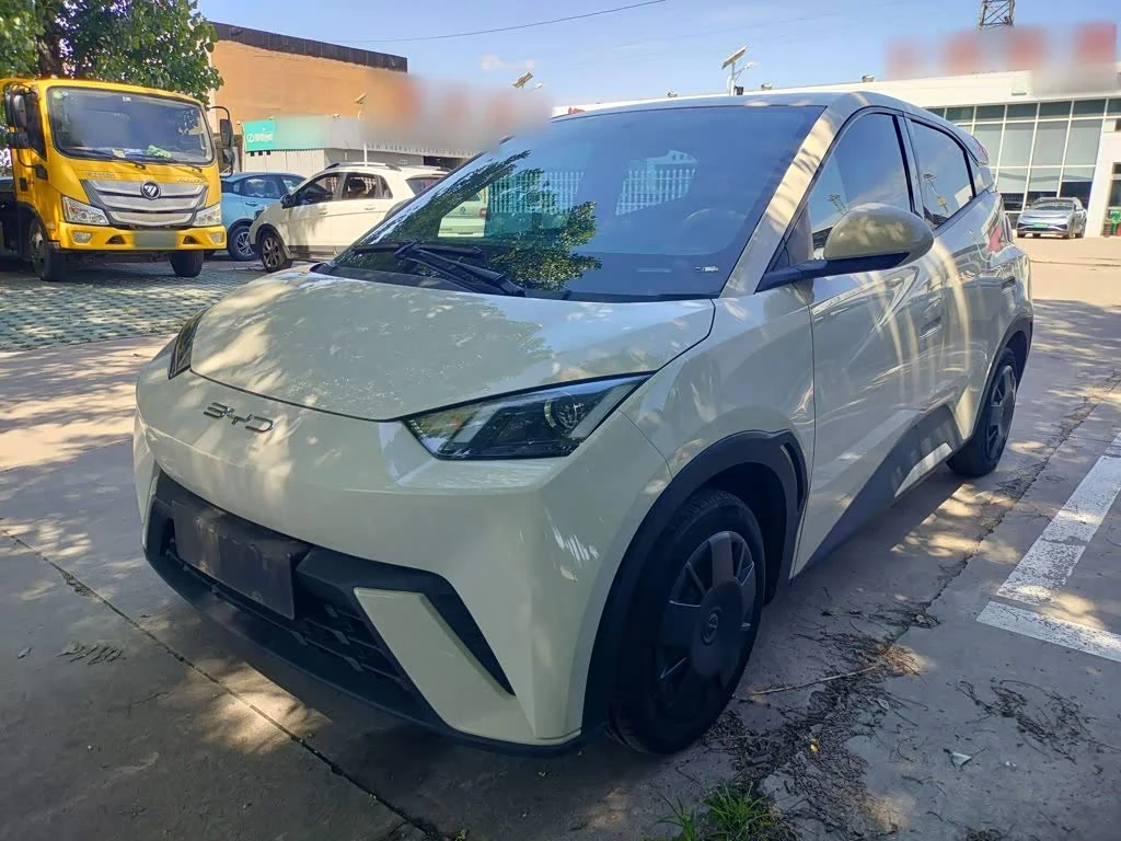BYD Seagull