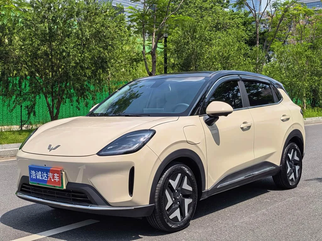 Wuling BinguoS