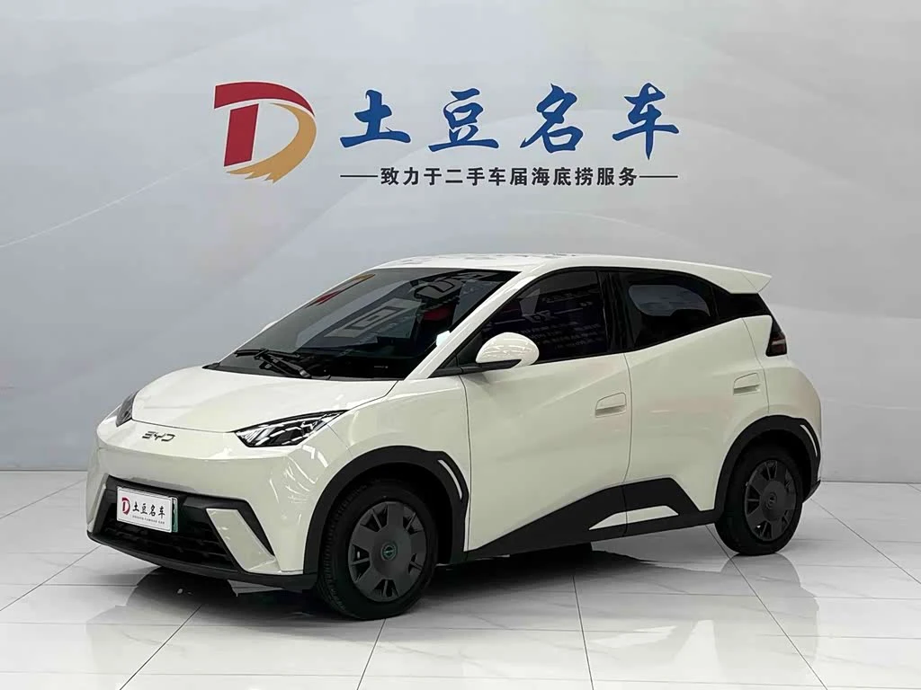 BYD Seagull