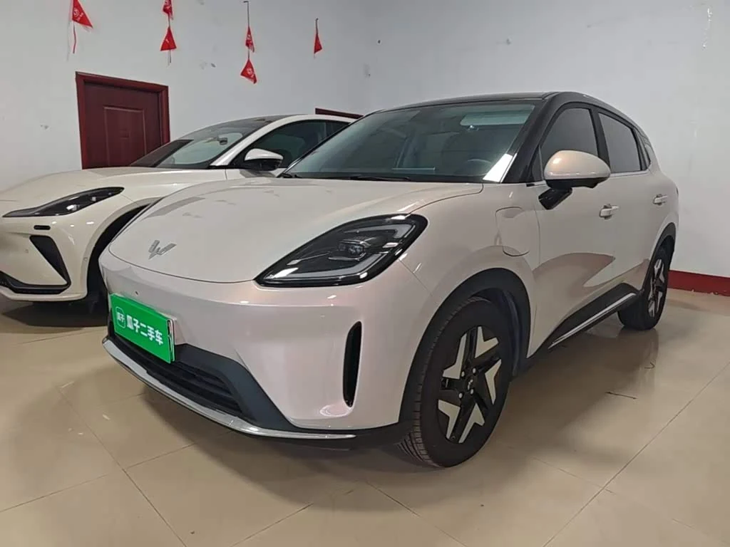 Wuling BinguoS