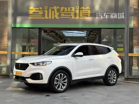 Wey VV6