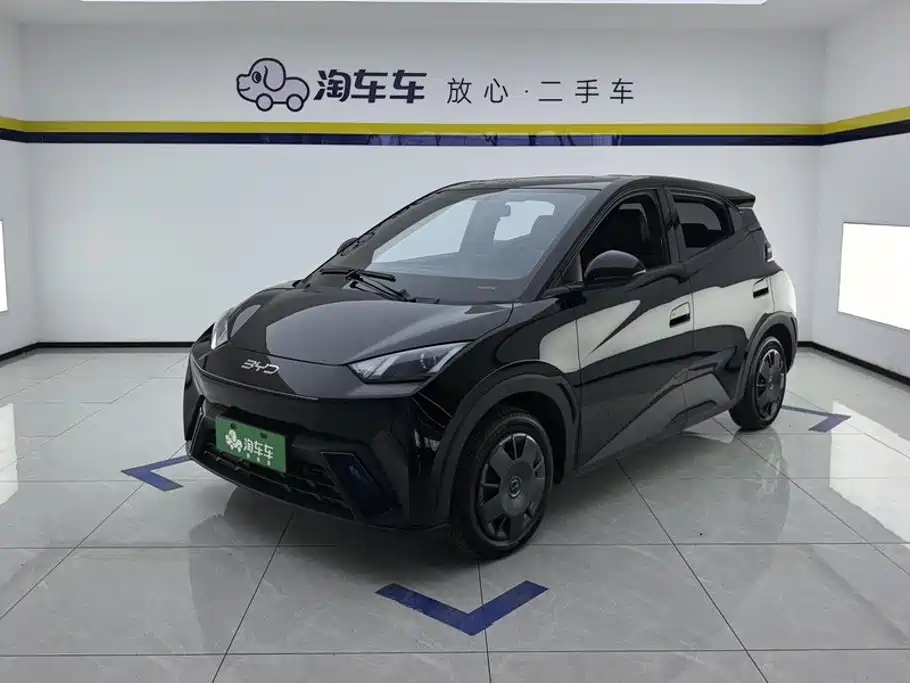 BYD Seagull