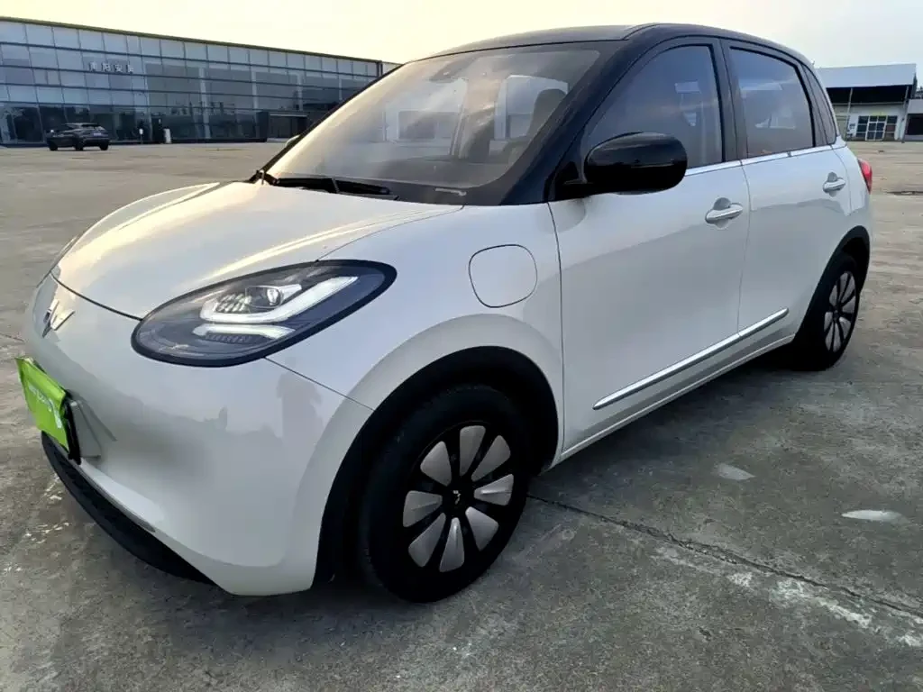 Wuling Binguo