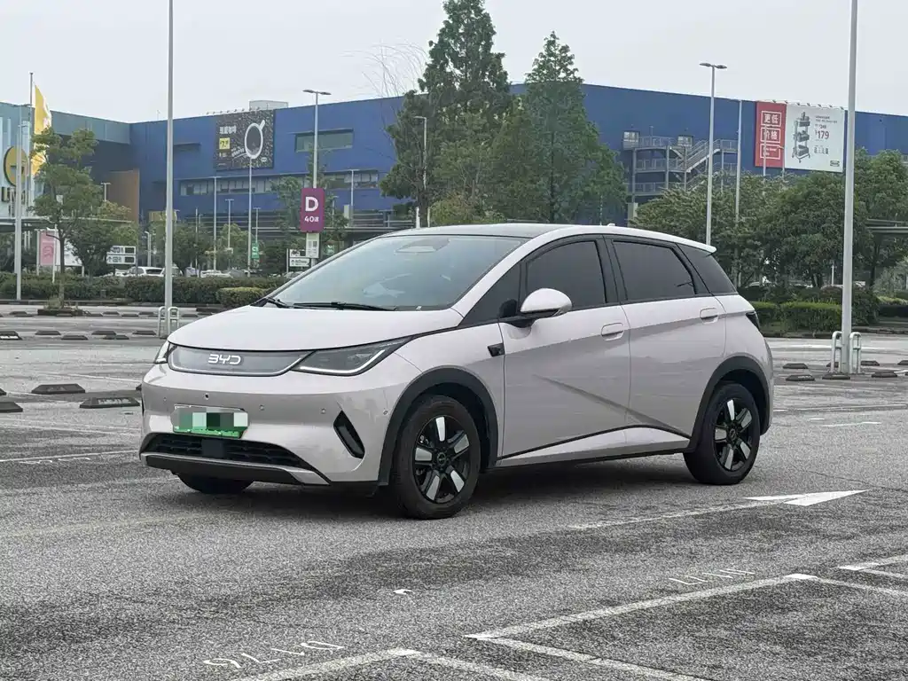 BYD Dolphin