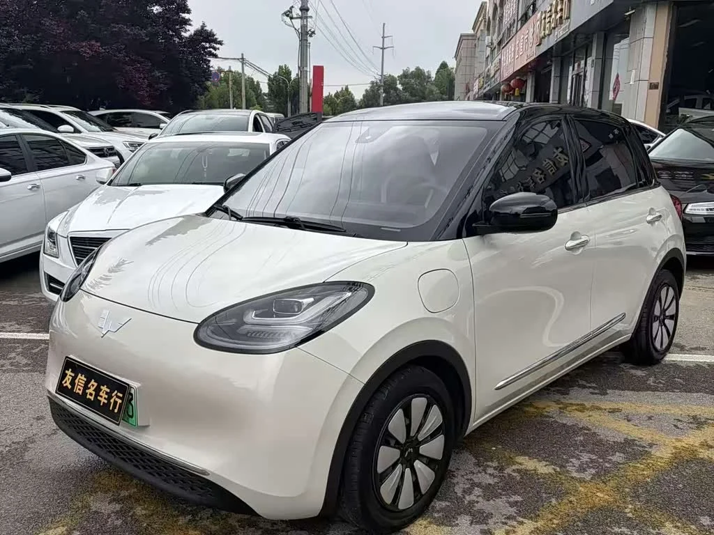 Wuling Binguo