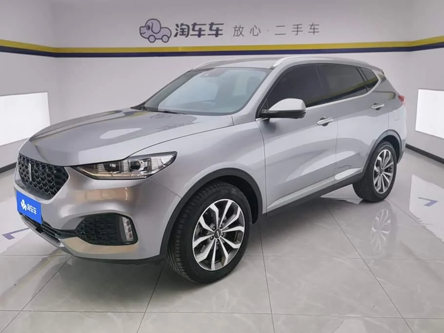 Wey VV6