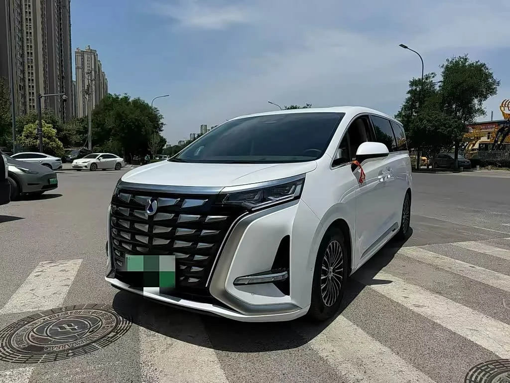 Denza D9