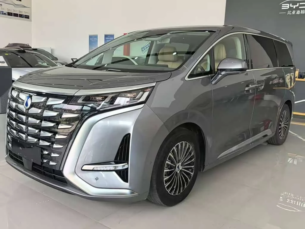 Denza D9