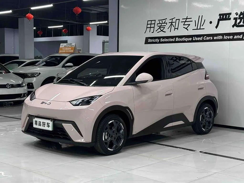 BYD Seagull