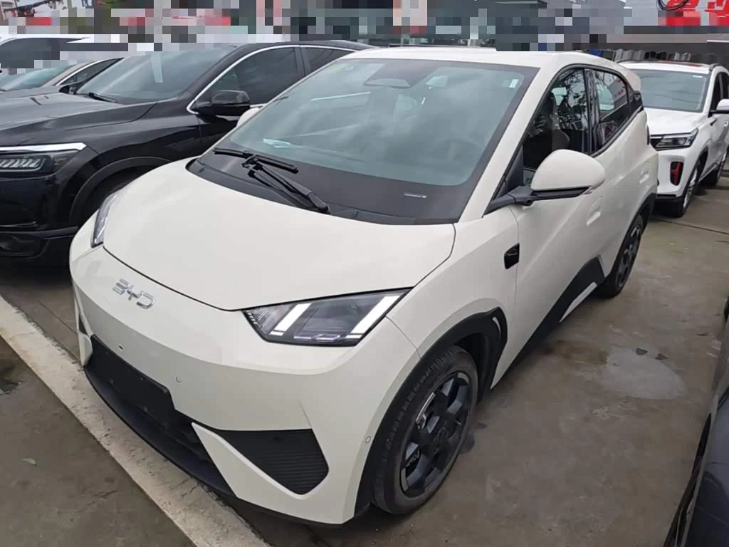 BYD Seagull