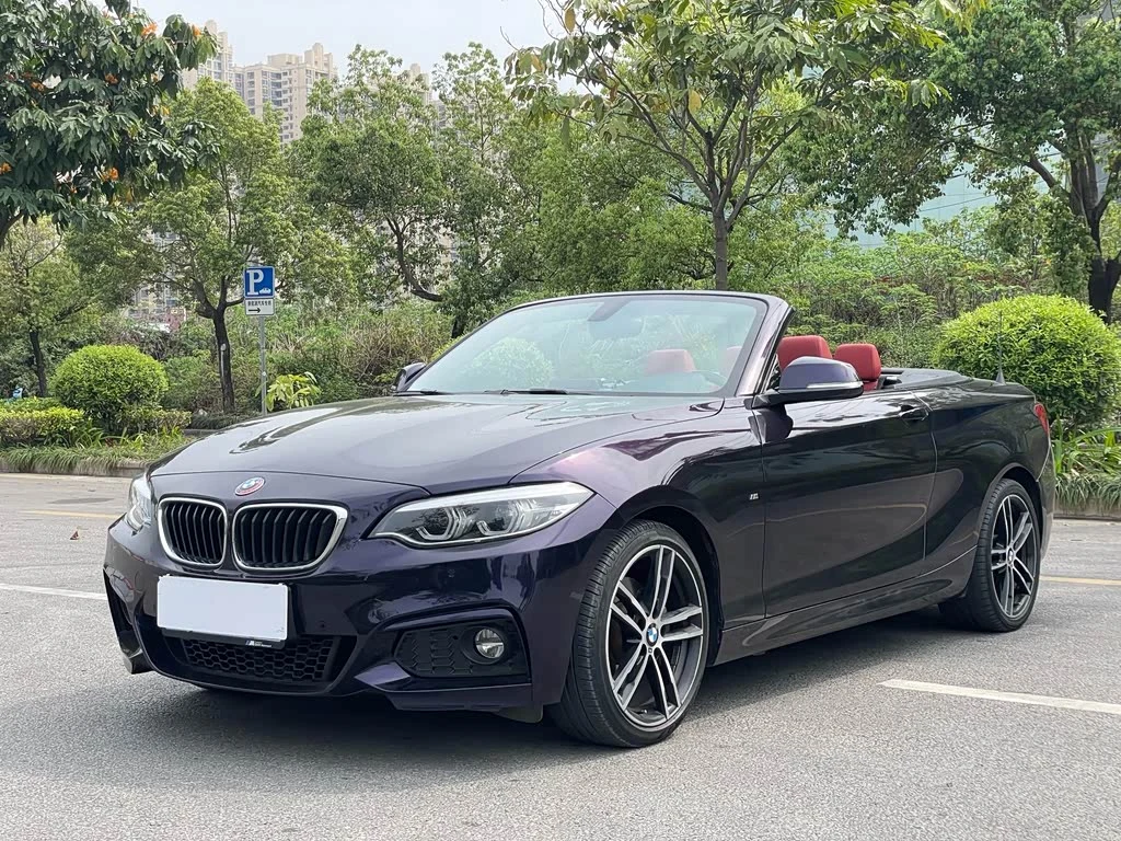 BMW 2 Series