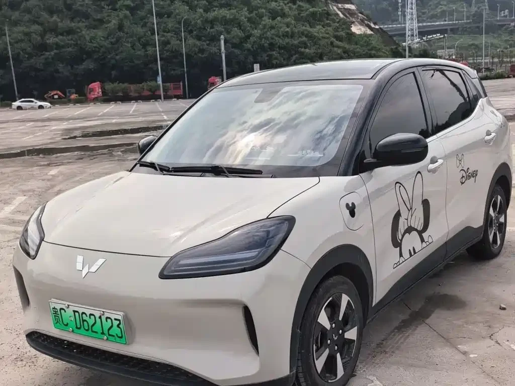 Wuling BinguoPLUS