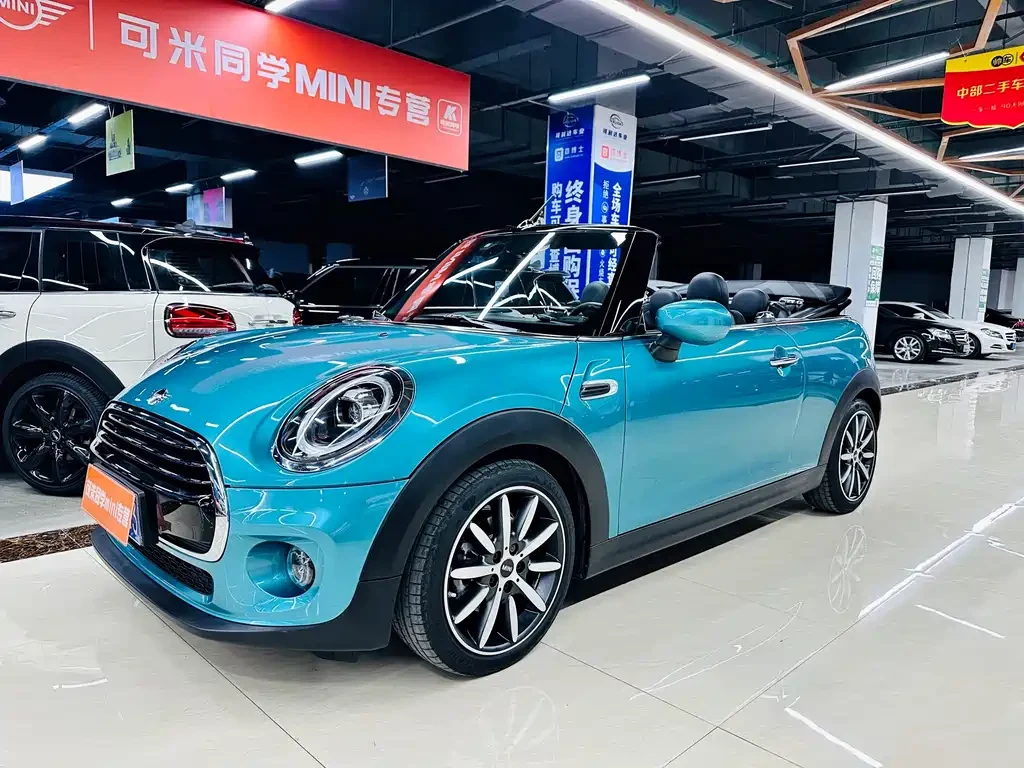 Mini Mini