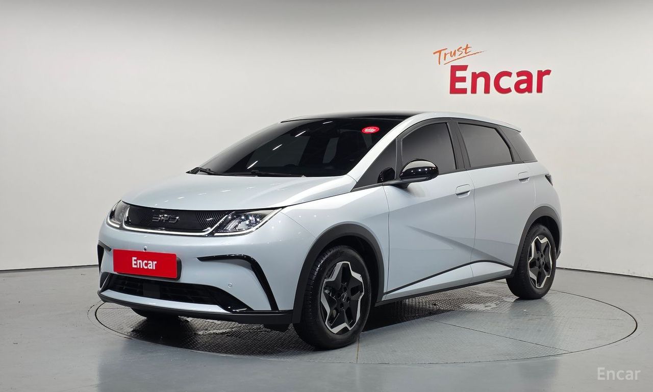 BYD Dolphin