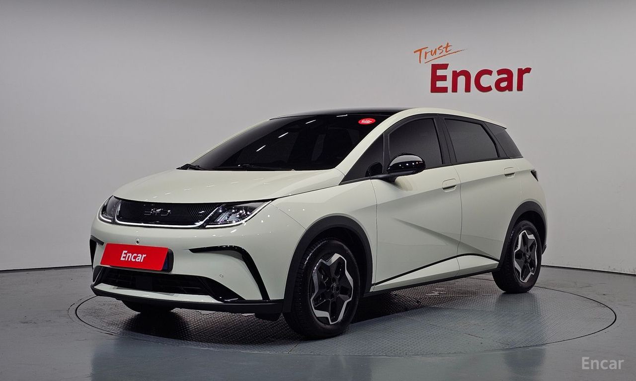 BYD Dolphin