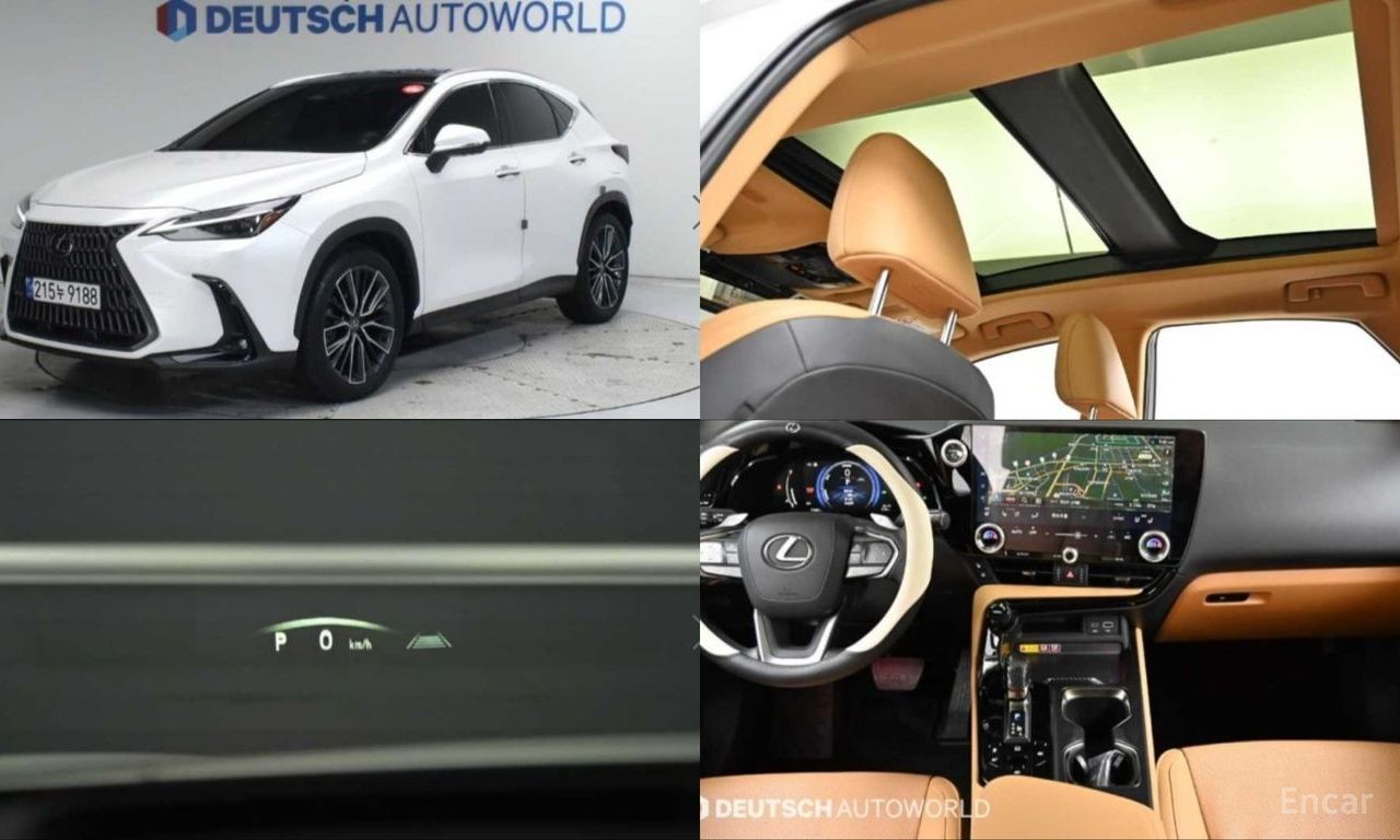 Lexus NX