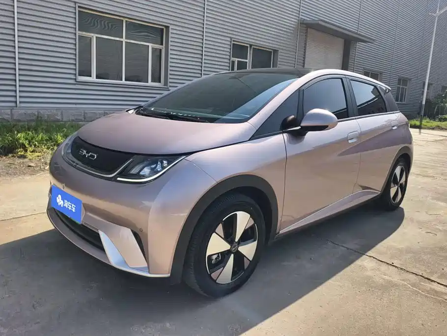 BYD Dolphin
