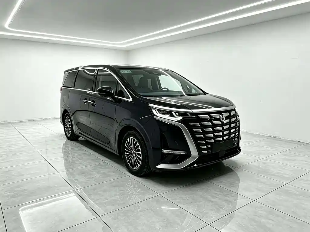 Denza D9