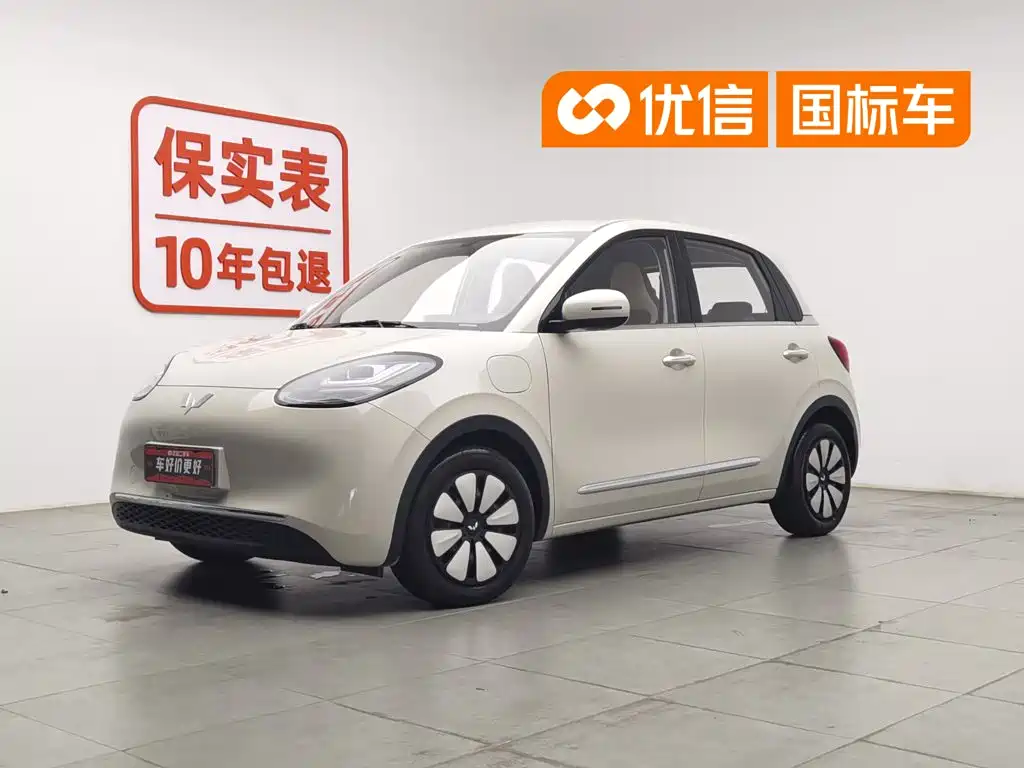 Wuling Binguo
