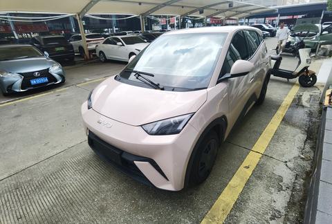 BYD Seagull