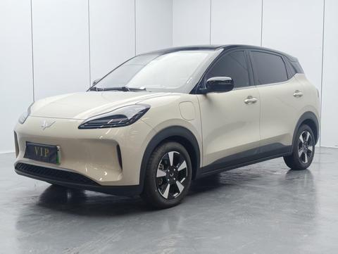 Wuling BinguoPLUS