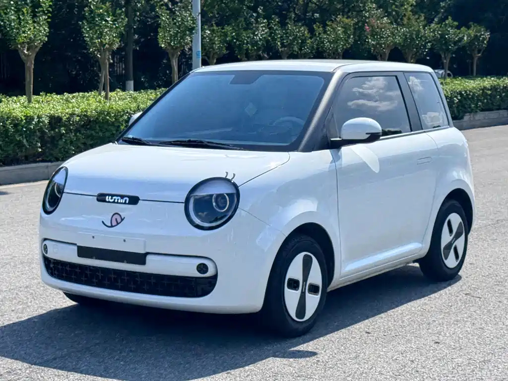 Changan Lumin